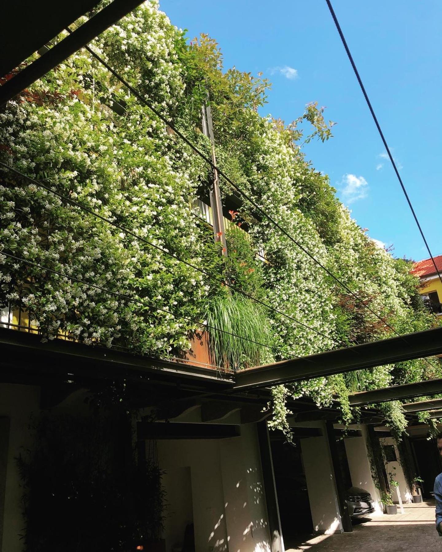 Residence Casa Coppa Appartamento Aster Omegna Extérieur photo